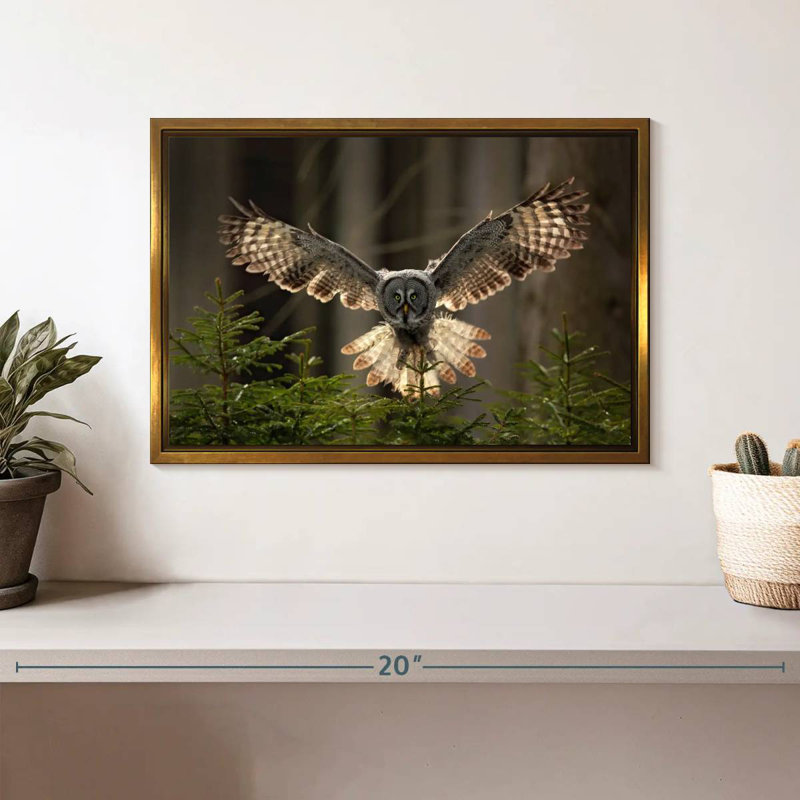 Hibou volant, Cadre flottant doré, 13 po x 9 po