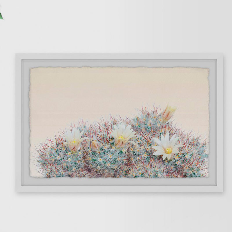 Flowering Succulent - Single Picture Frame Print, 41cm H x 61cm W x 4cm D
