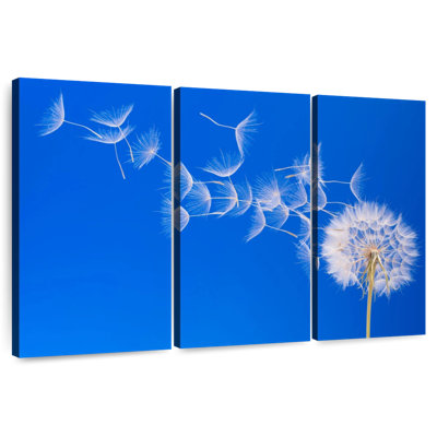 Harnek Dandelion Seeds Flying