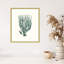 «Antique Coastal Coral VIII» par Johann Esper, impression sur bois encadrée-520552507
