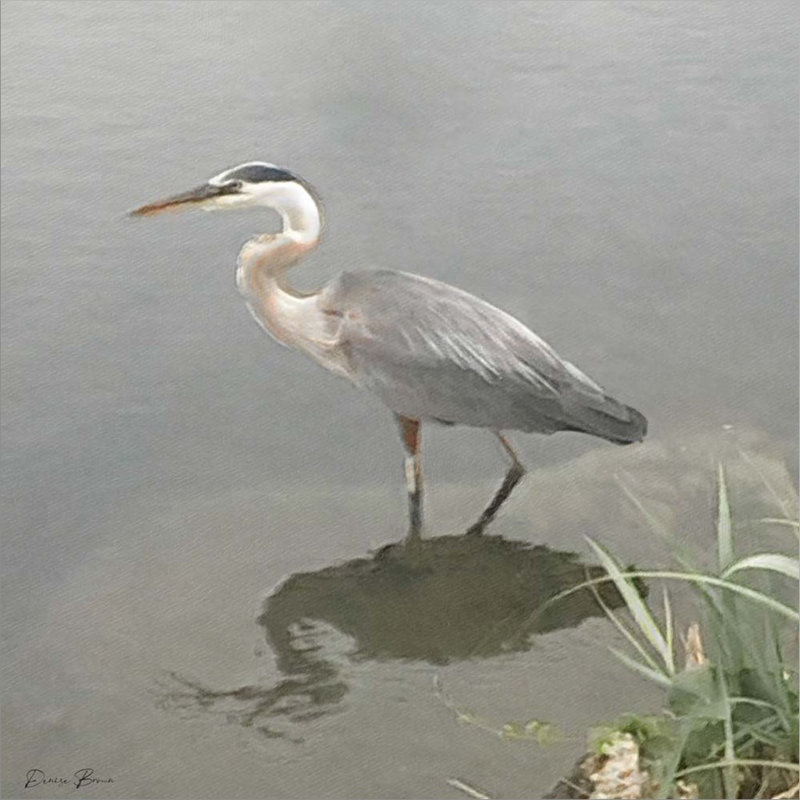 " Crane " by Denise Brown