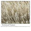 Branches Solid Colour Area Rug-2005700585