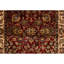 Oriental Area Rug in White