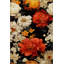 Tapis multicolore Mira Gazania-1265194111