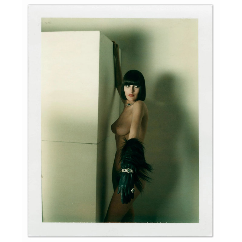Newton, Polaroids