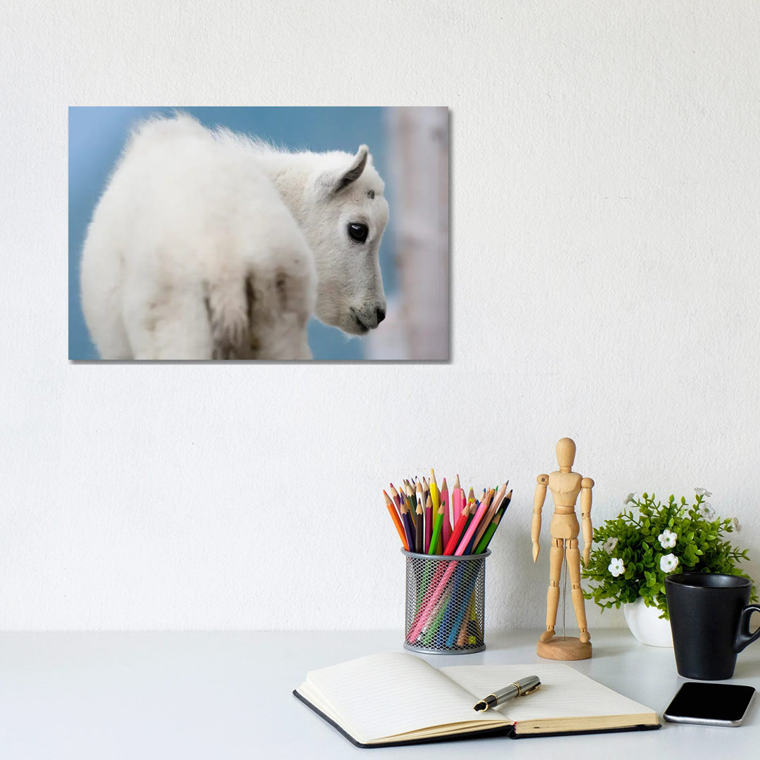 Mountain Goat by Mateusz Piesiak - Wrapped Canvas Gallery-Wrapped Canvas Giclée