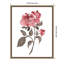 «June Rose» par Amanda Cook, reproduction d'art sur toile encadrée-238141955
