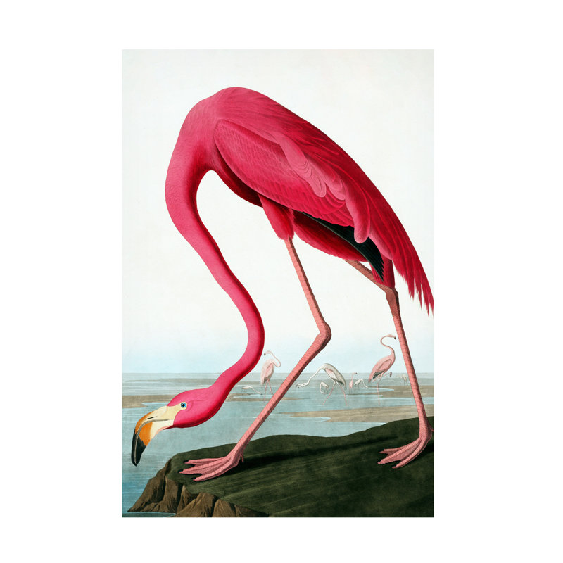 Bundella flamant rose, H 19 po x l 12 po x P 2 po