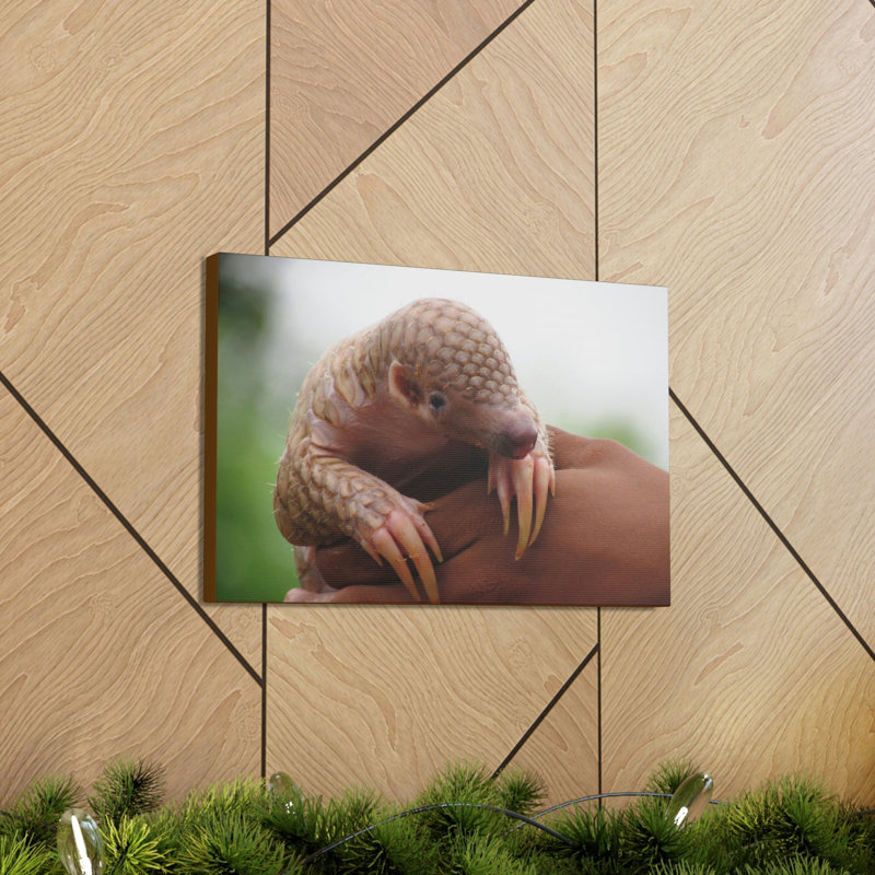Wall Art on Canvas, 30.48cm H x 40.64cm W