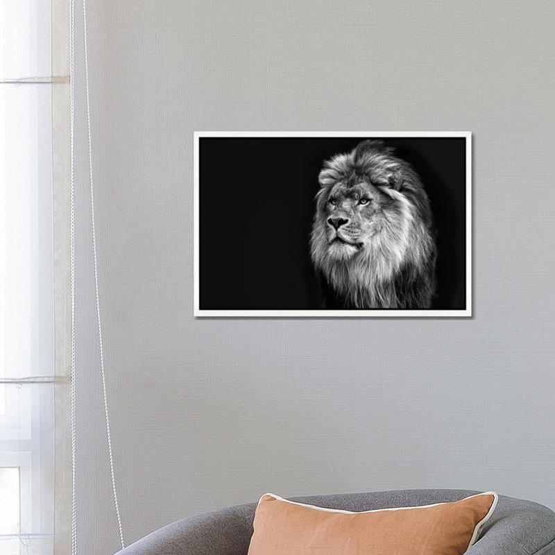 Majestic In Black & White by David Gardiner - Print on Canvas, White Framed, 66.04 cm H x 45.72 cm W