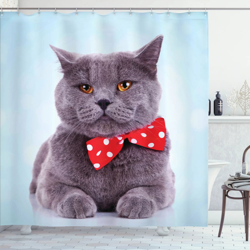 Ensemble de rideau de douche et crochets Cat, H 70 po x l 69 po