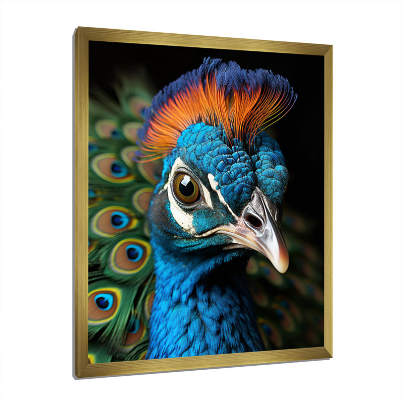 Peacock Animal Protrait - imprimé, Cadre photo doré, L 30 po x H 40 po