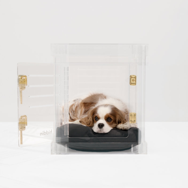 Medium Clear View Pet Crate with Silver Latch, Khaki Cushion, Charcoal, Gold, 22"H x 20"W x 30"D