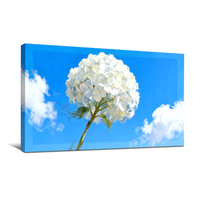 Plants &Flowers Flower Against Sky With Clouds