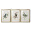 «Spring Song Blue Bird» - ensemble de photos encadrées-384428554-384428533