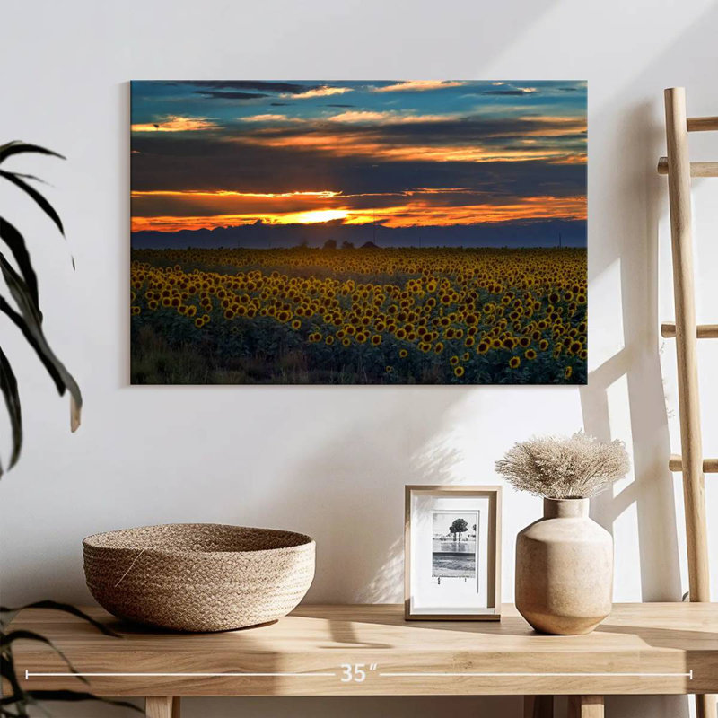 Champ de tournesols Alvord Colorado, H 16 po x l 24 po