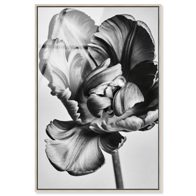 Graphite Flower Print by Oliver Gal