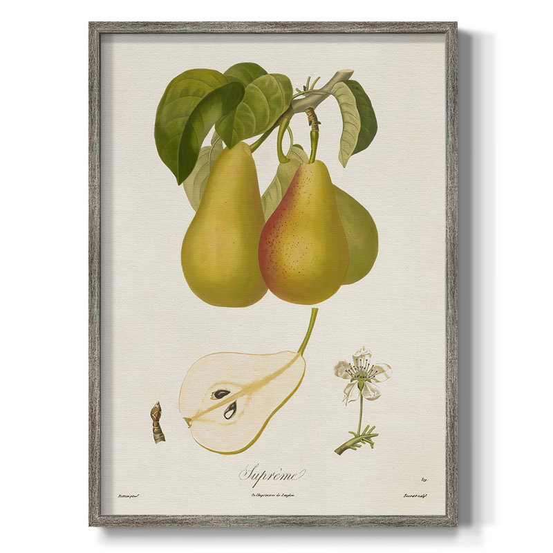 Vintage Pears V, reproduction encadrée - bois massif, H 15 po x l 12 po