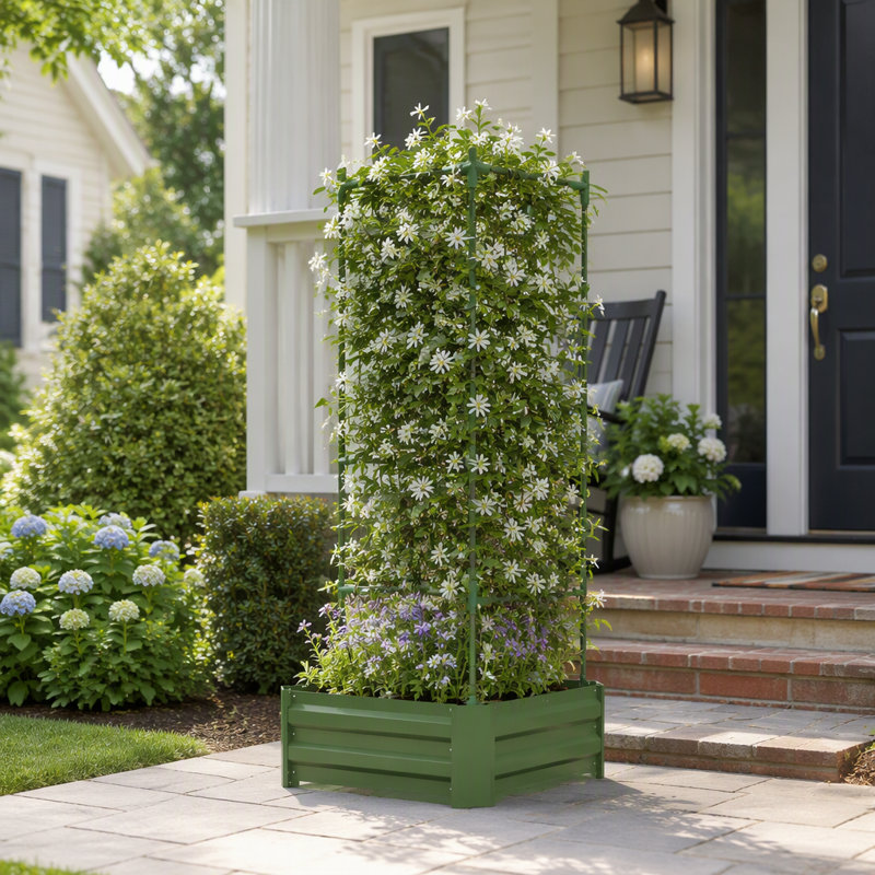 55.1 in. H x 24 in. W Trellis