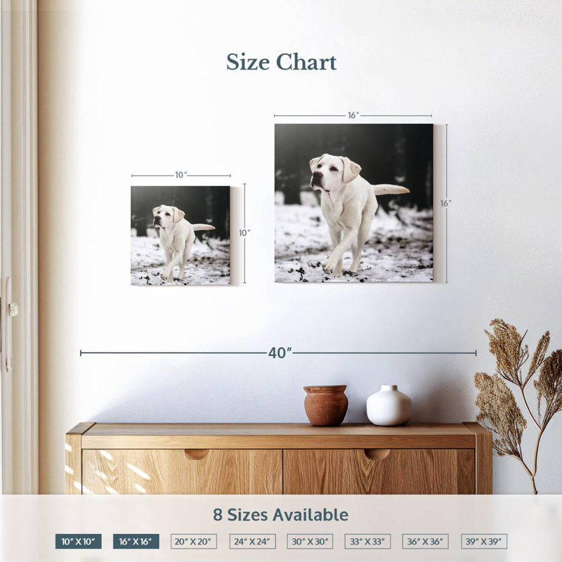 Brampt Labrador Retriever, 10" H x 10" W