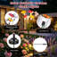 Ensemble de 2 guirlandes lumineuses solaires papillon-luciole à 6 têtes de hauteur variable, lumière chaude, résistantes aux intempéries, aux UV et à la rouille, pour la décoration de jardin, terrasse et allée.