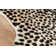 Acadia Animal Print Area Rug