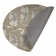 Hey Tiger Outdoor Rug