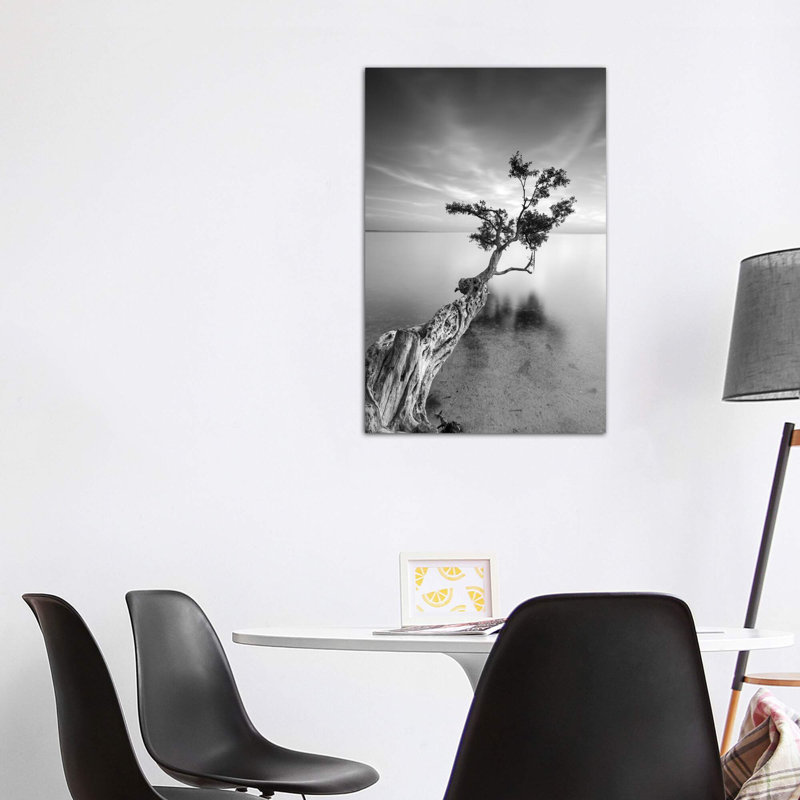 « water tree v » par moises perception-reproduction de photo, H 26 po x l 18 po x P 1,5 po, Toile tendue