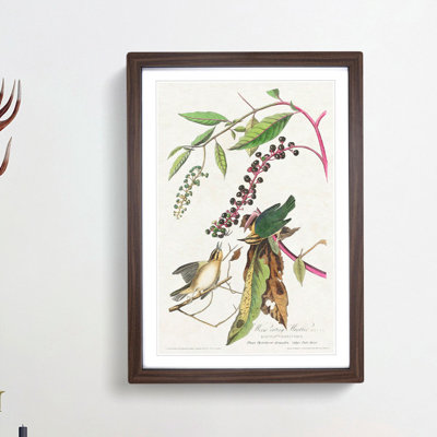 Two Warbler Birds by John Audubon - Picture Frame Painting Print
