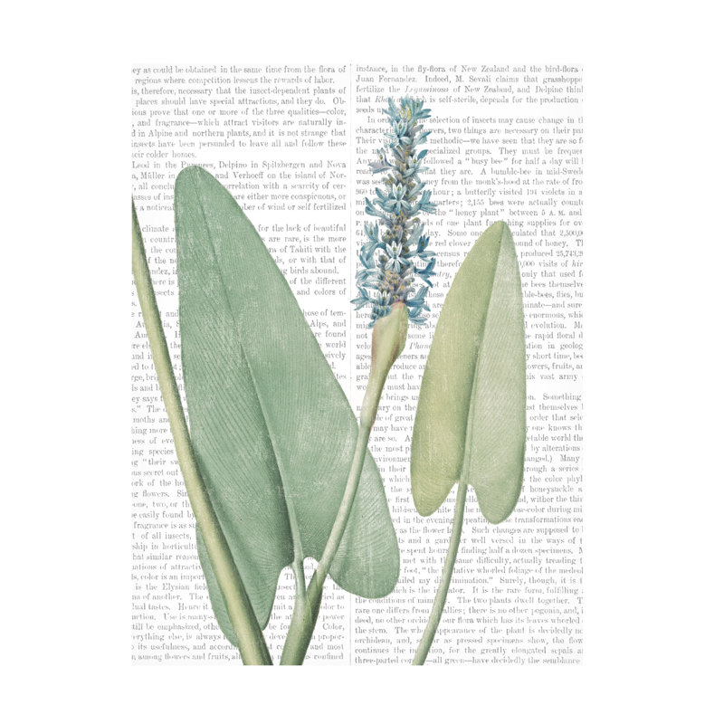 Art sur toile, «Wild Botanicals IV», H 19 po x l 14 po x P 2 po
