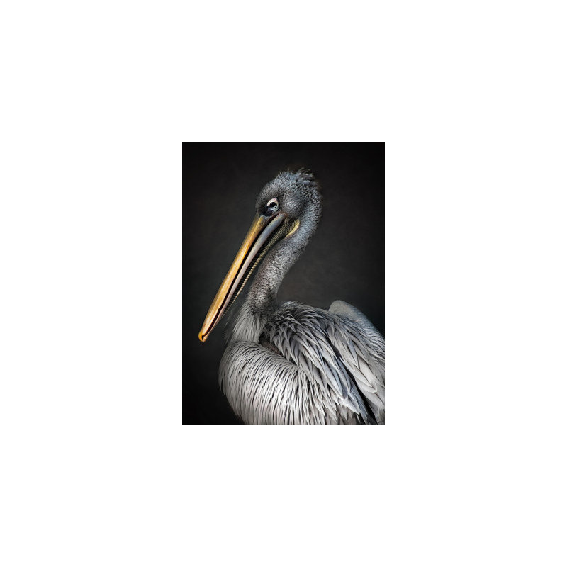 Wrapped Canvas Print, 76.2 cm H x 50.8 cm W