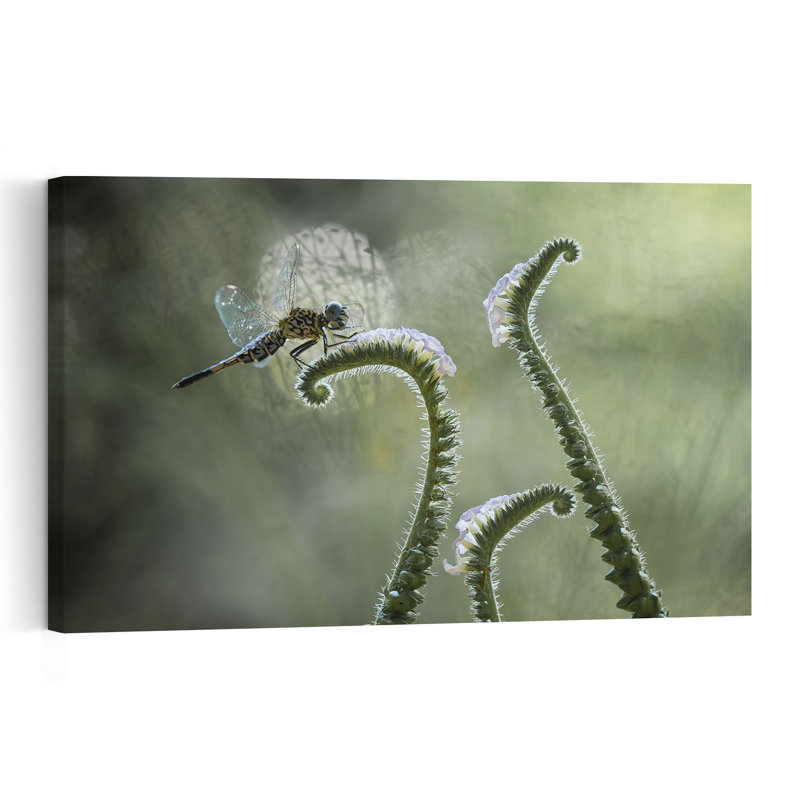 Libellule sur une courbe douce, délicate, paisible et sereine, impression d'art mural représentant une libellule, la nature et les plantes