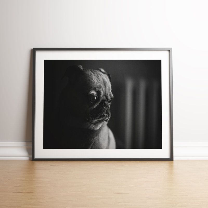 Sad Pug Puppy by Vouvart - Single Picture Frame Print