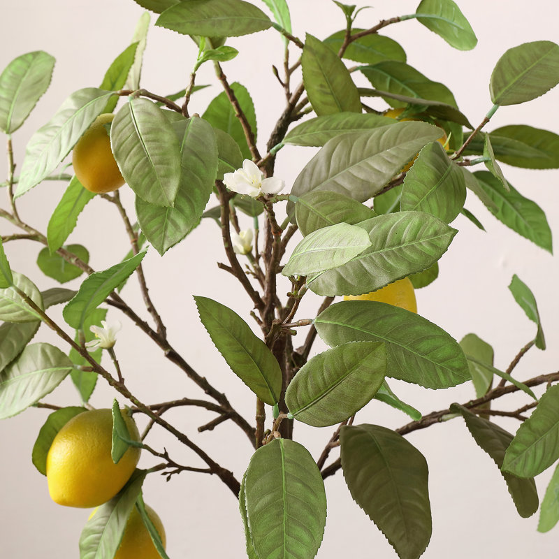 35.04'' Faux Lemon Tree in Freestanding