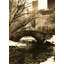 Central Park (1961)-1462856938