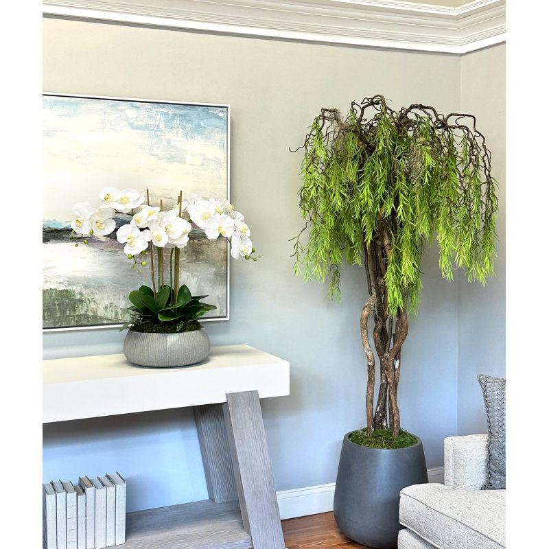 Orchid Arrangement in a Round Fiberstone Planter