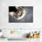 A Cat-107524424