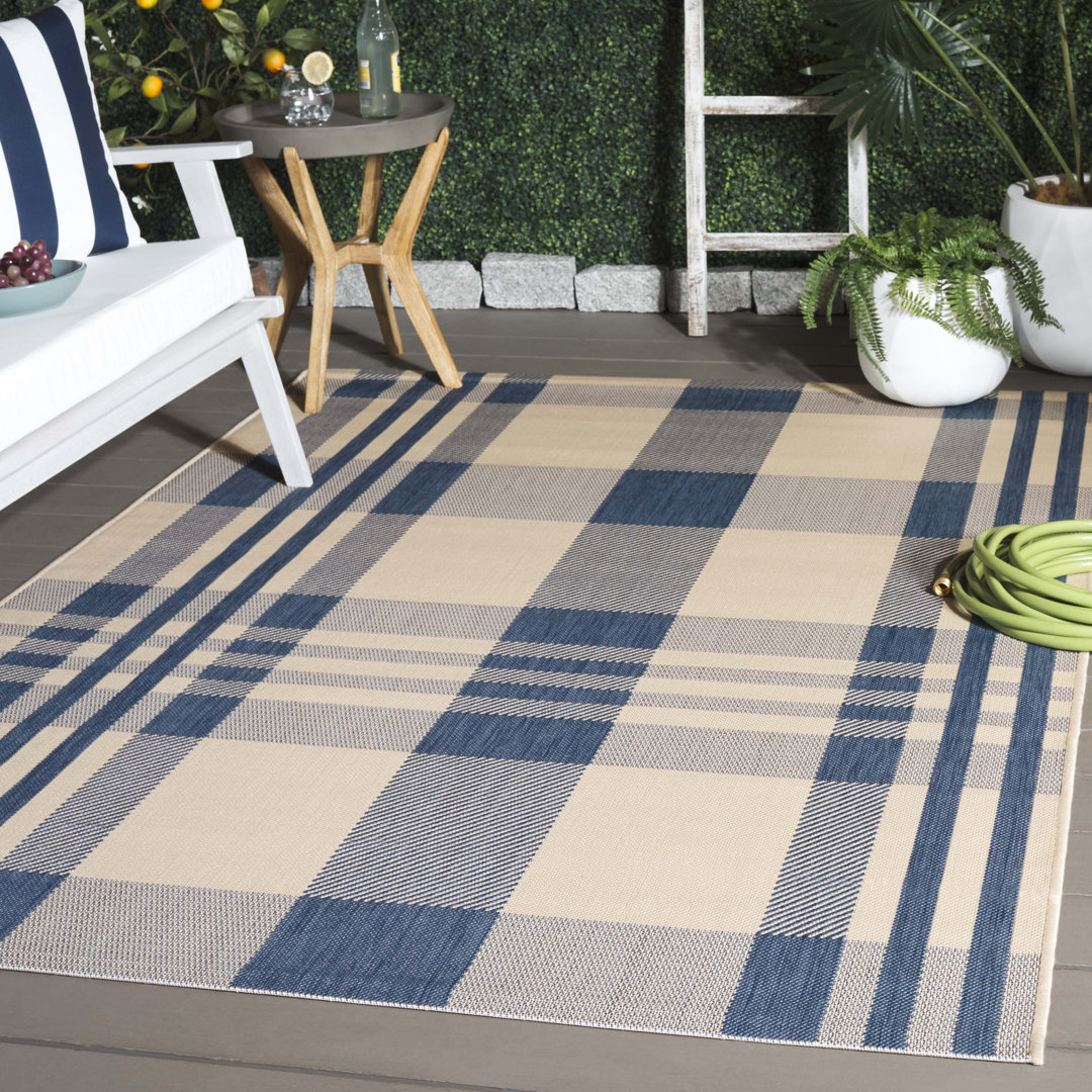 Andish Plaid Indoor / Outdoor Area Rug