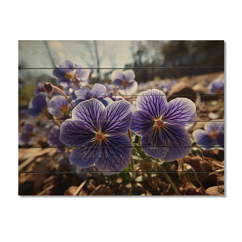 «Vibrant Violets Field Photo I», reproduction sur bois sans cadre, H 24 po x l 32 po x P 0,78 po