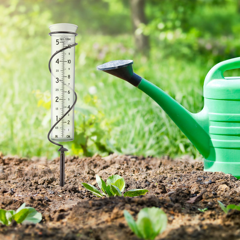 Spiral Garden Metal Rain Gauge