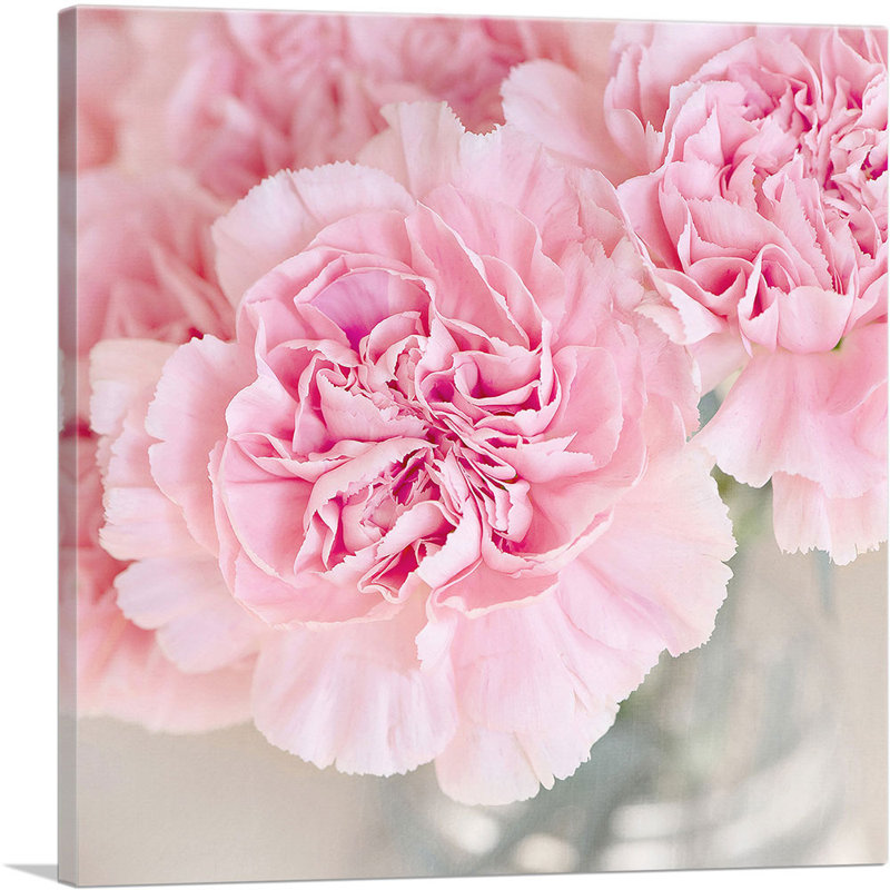 " Pink Carnation ", 12" H x 12" W x 0.75" D