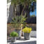 Ensemble de pots à fleurs en plastique 3 pièces Mason Series-98538400