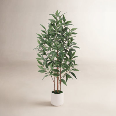 Ashwell 4.6' W Artificial Eucalyptus Tree