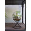 Boolia Planter-1428474510