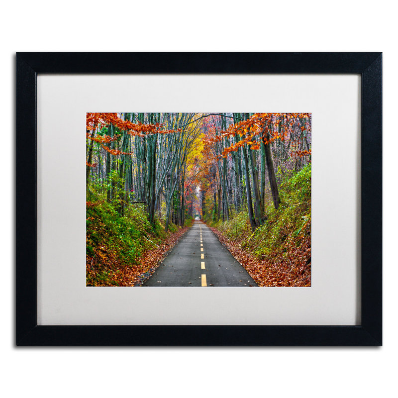 "paths" par cateyes, reproduction de photo encadrée, Blanc, H 16 po x l 20 po