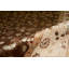 Oriental Area Rug