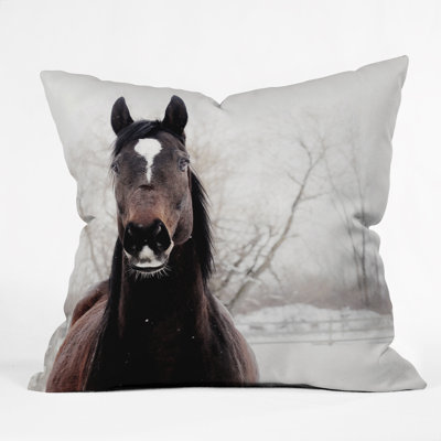  Coussin intérieur / extérieur Dark Horse