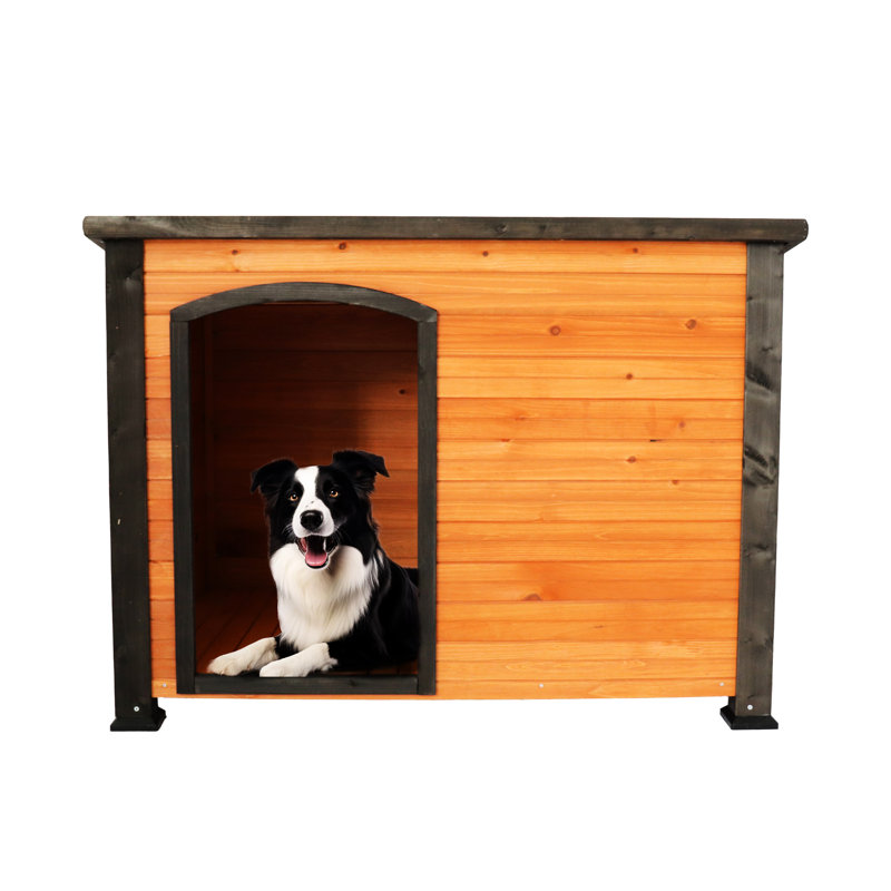 Grande maisonnette d'extérieur et d'intérieur - 45 po en bois, pieds surélevés, chenil en bois massif noir doré pour chiens, et avec fondation imperméable supérieure, rouge or