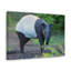 No Frame Print on Canvas-1664489791
