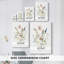 Étude Cottage Garden II - Cavas enveloppés de galerie-9035347